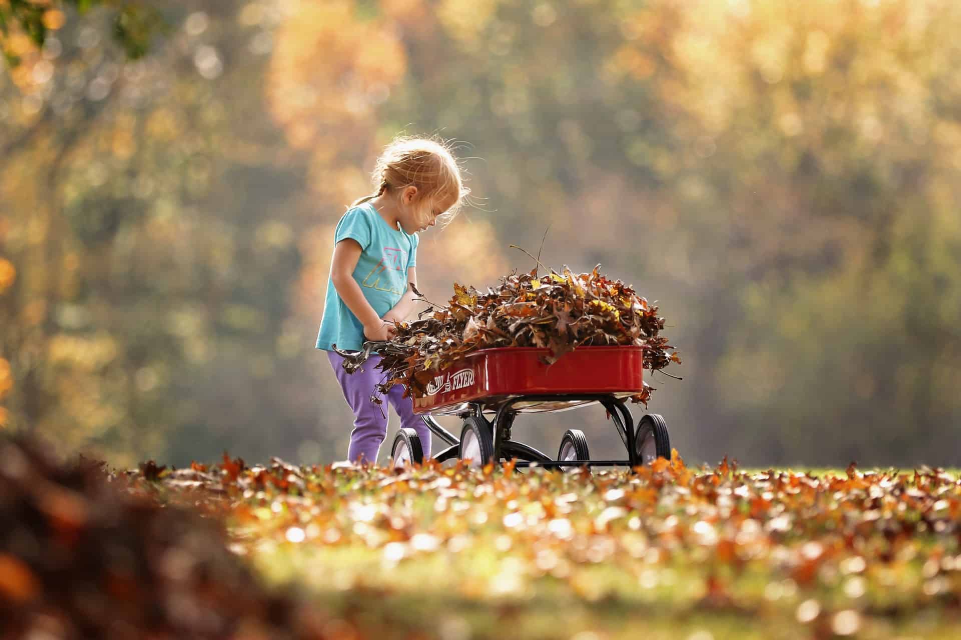 Autumn Activities Fall Festivals For Kids In The Triad Kid Friendly Triad