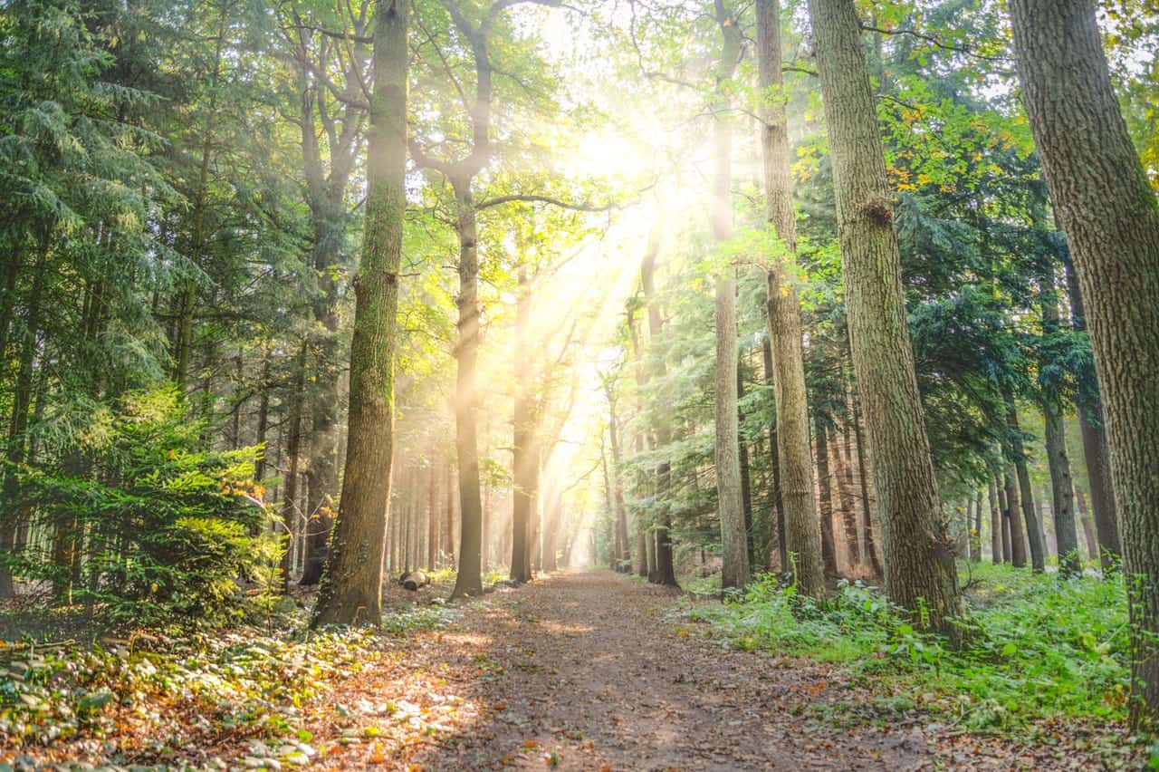Best Greenways & Trails in Greensboro, NC Kid Friendly Triad