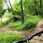 Tanglewood Park Greenway & Trails